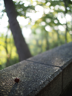 P9280015_thumb.png