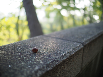 P9280016_thumb.png