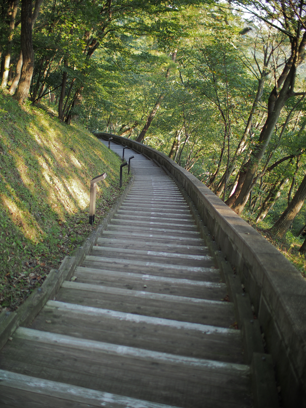 P9280031.jpg