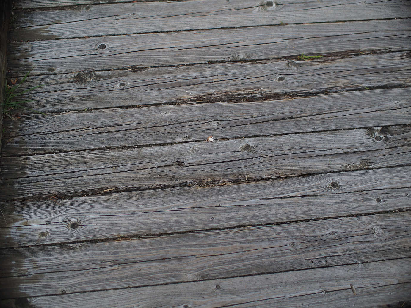 P9280044.jpg