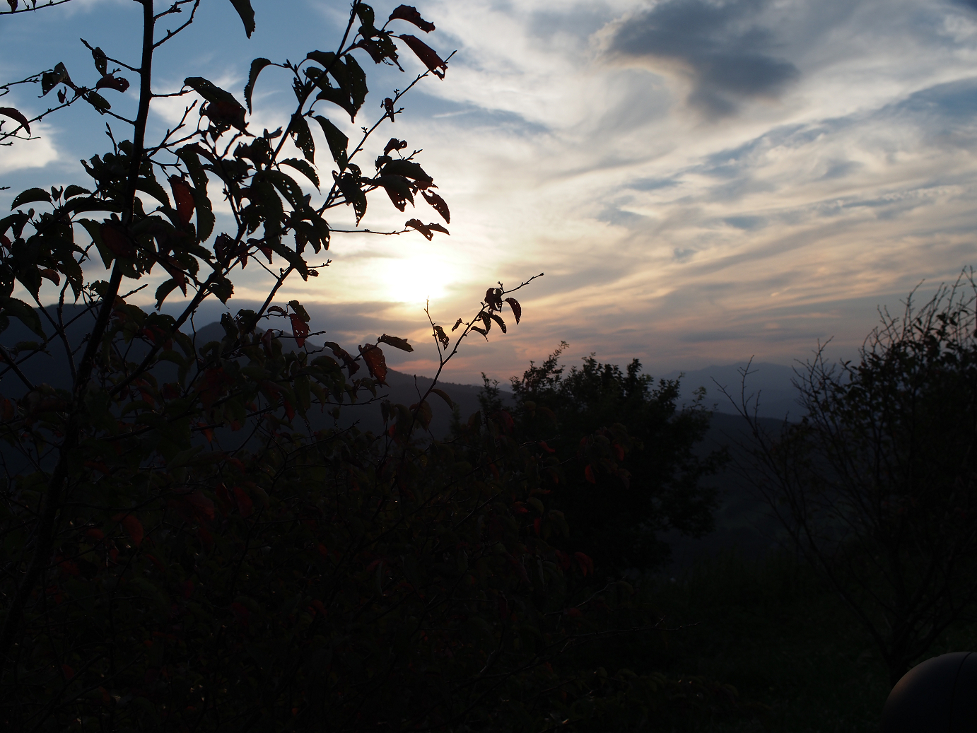 P9280094.jpg