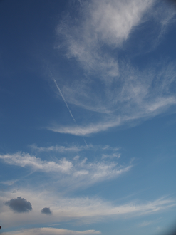 P9280104_thumb.png