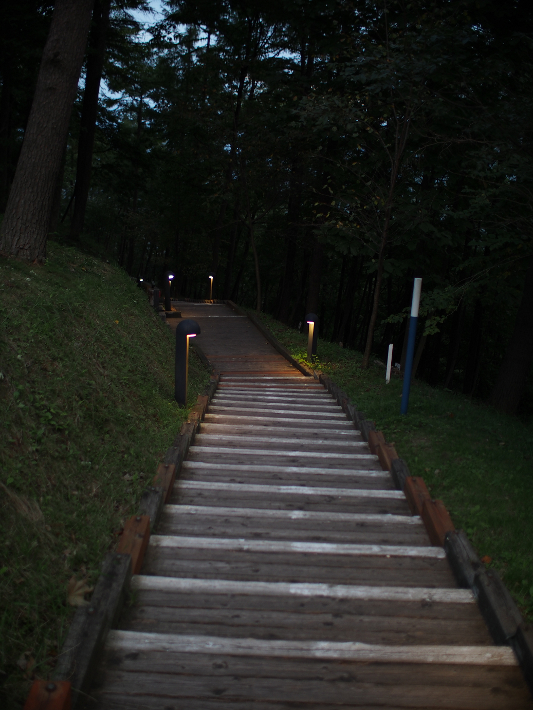 P9280133.jpg