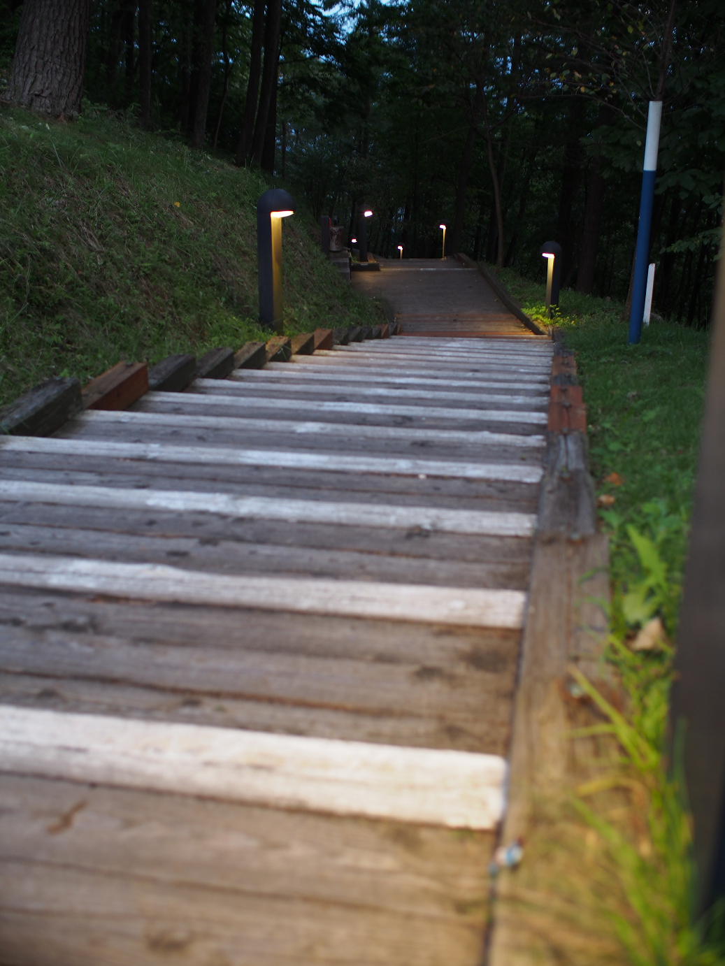 P9280137.jpg