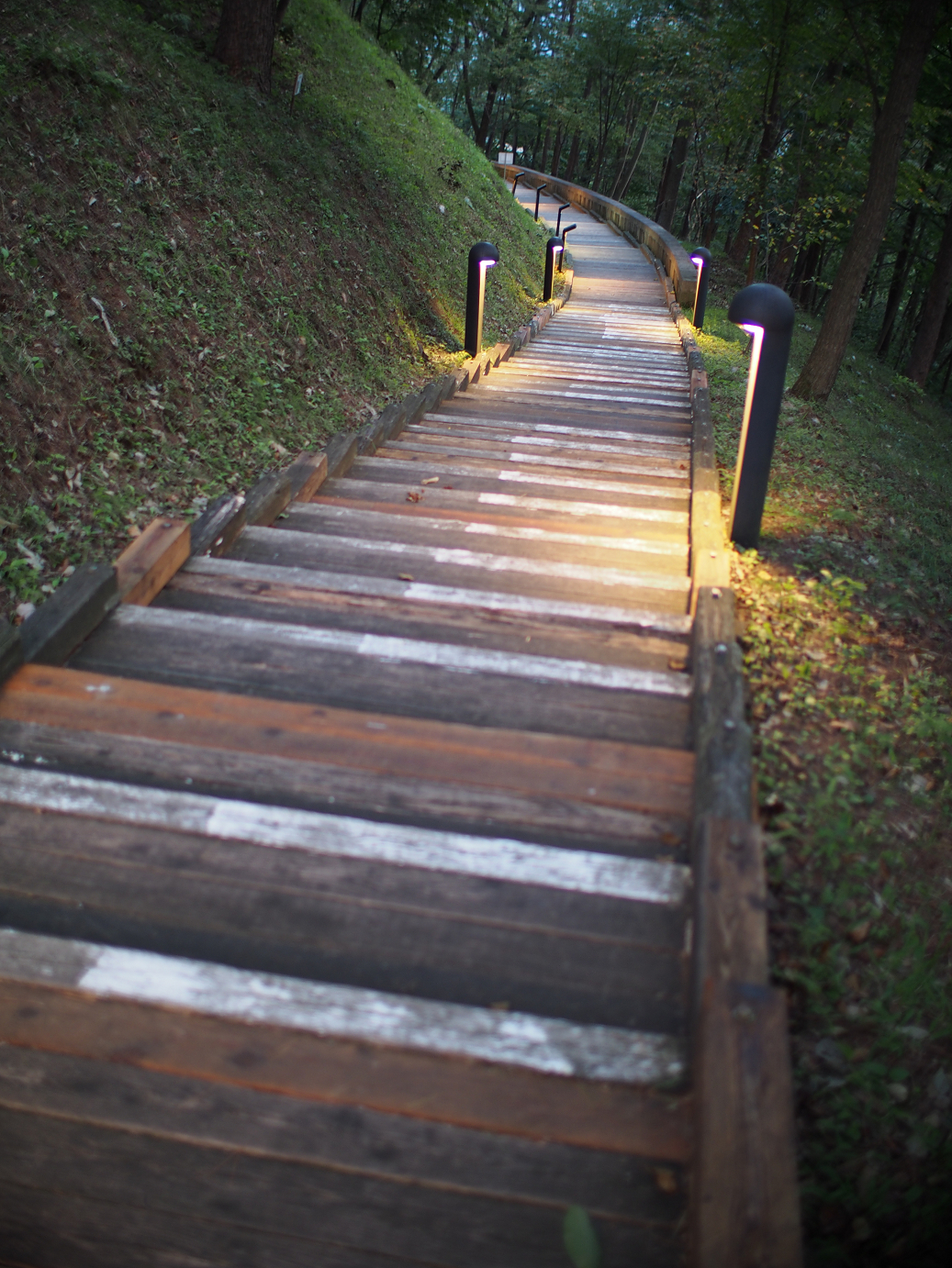 P9280142.jpg