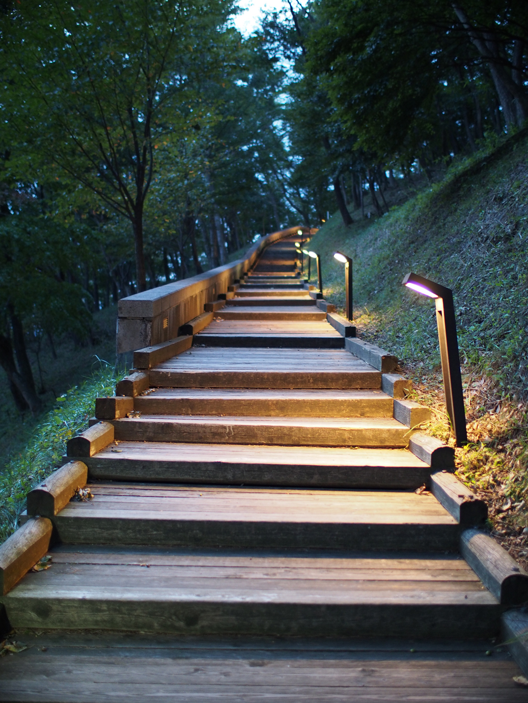 P9280156.jpg