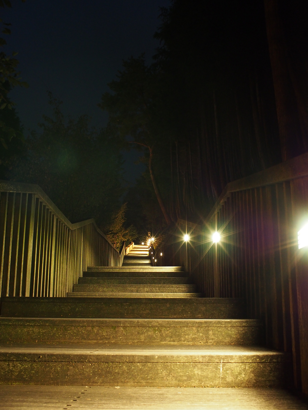P9280200.jpg