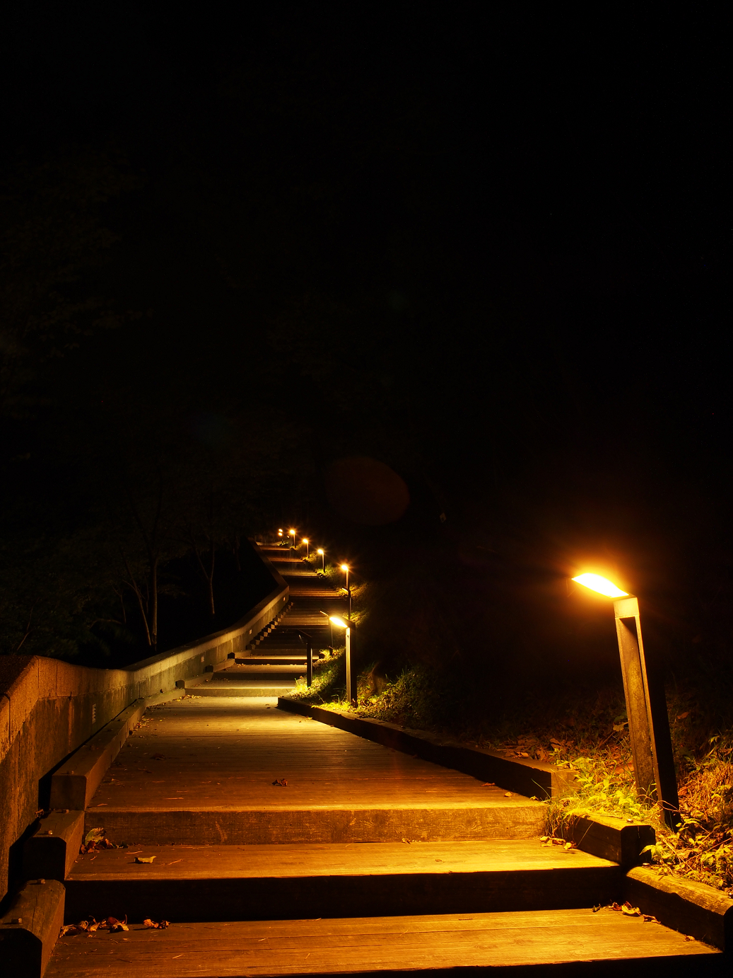 P9280203.jpg