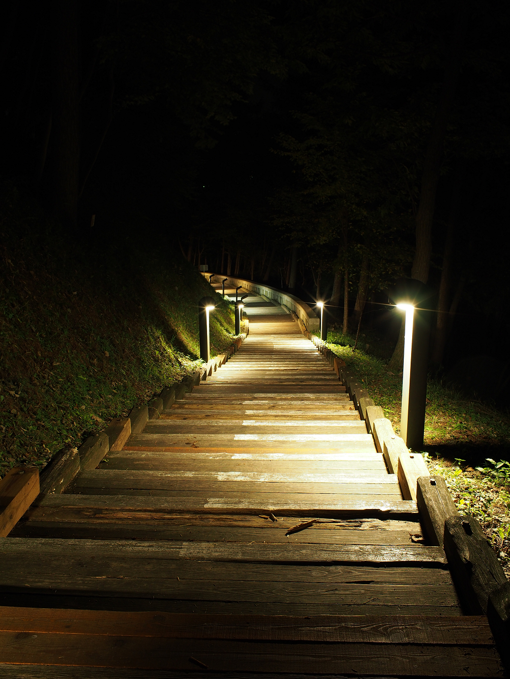 P9280227.jpg