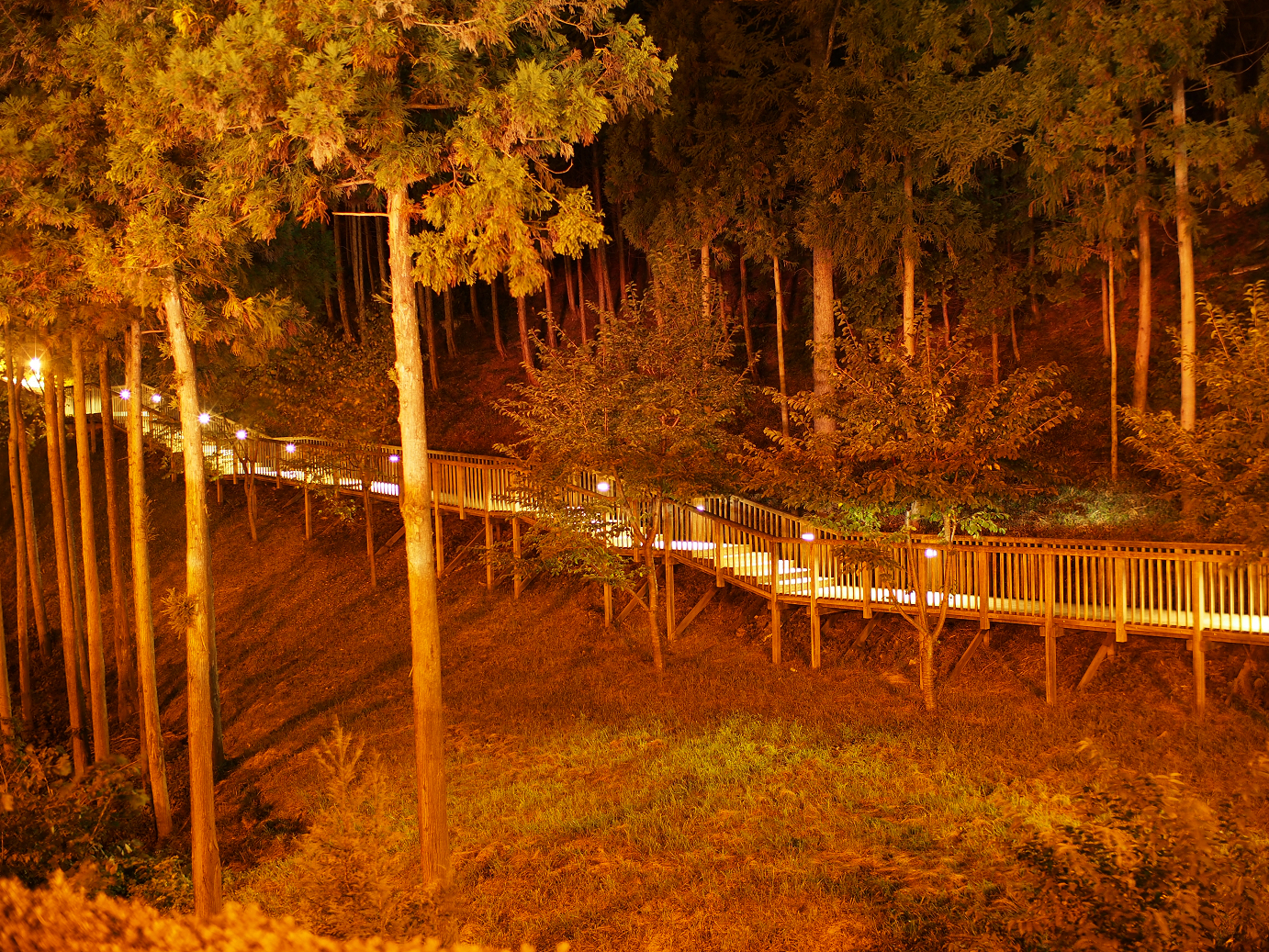 P9280248.jpg