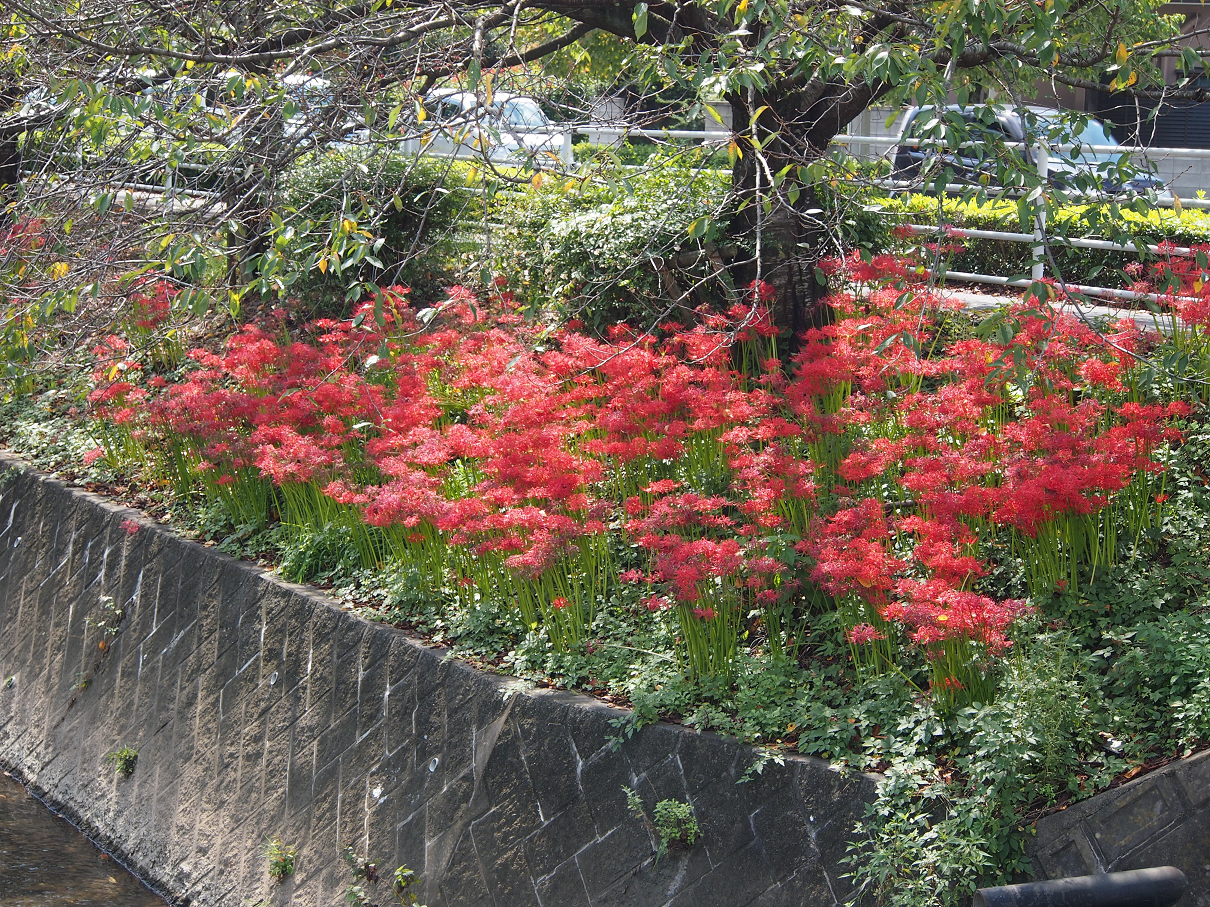 P9290001.jpg