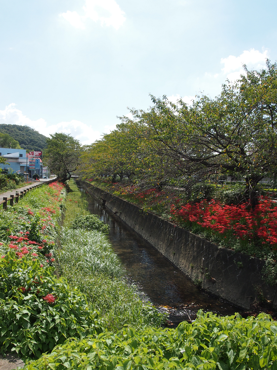 P9290002.jpg