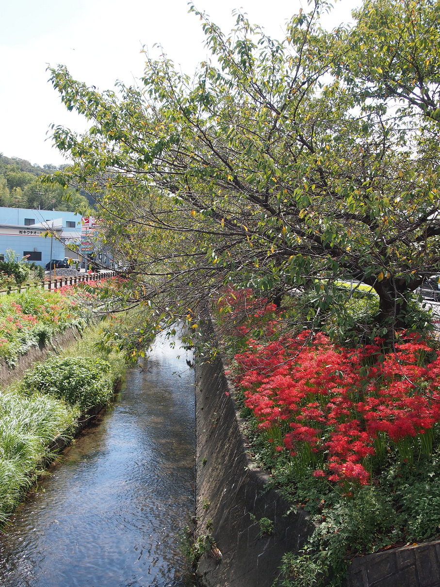 P9290009.jpg