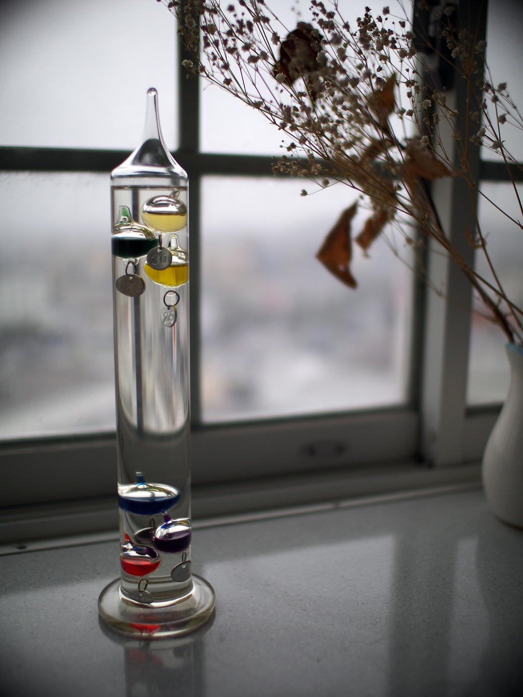 PA050256.jpg