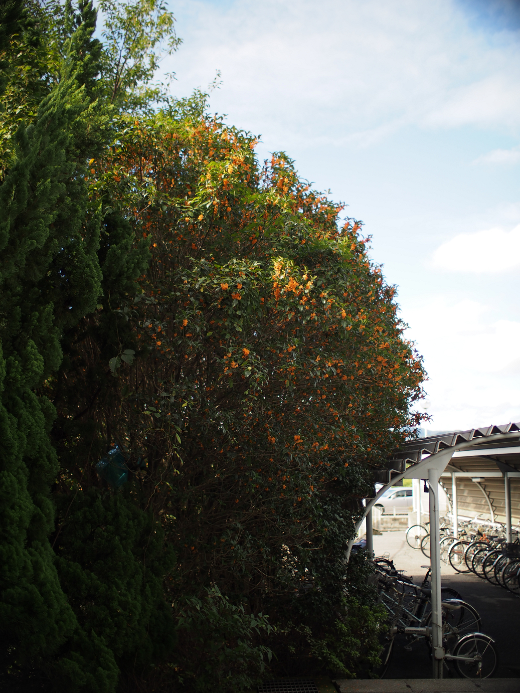PA060294.jpg