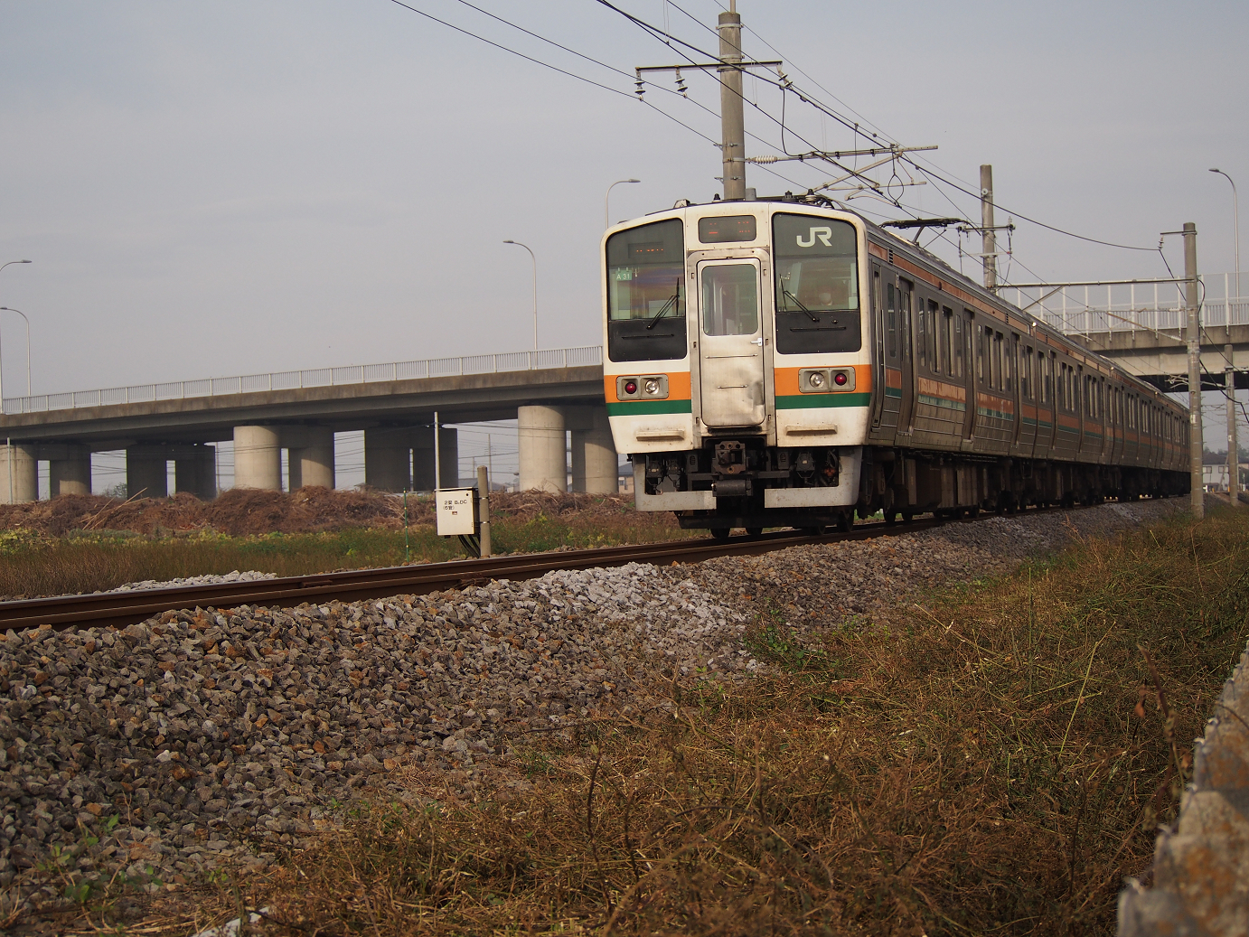 PB030511.jpg