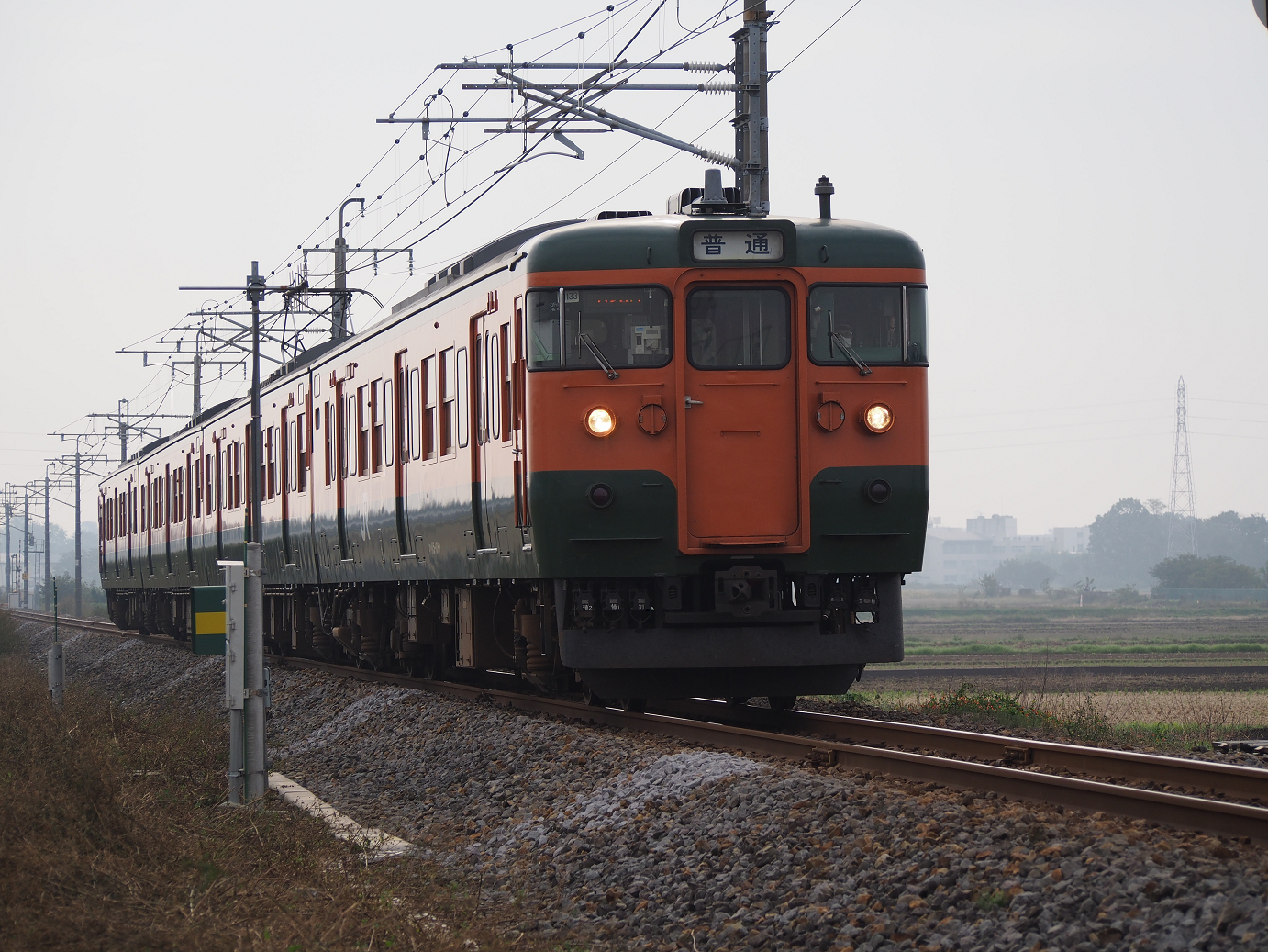 PB030520.jpg