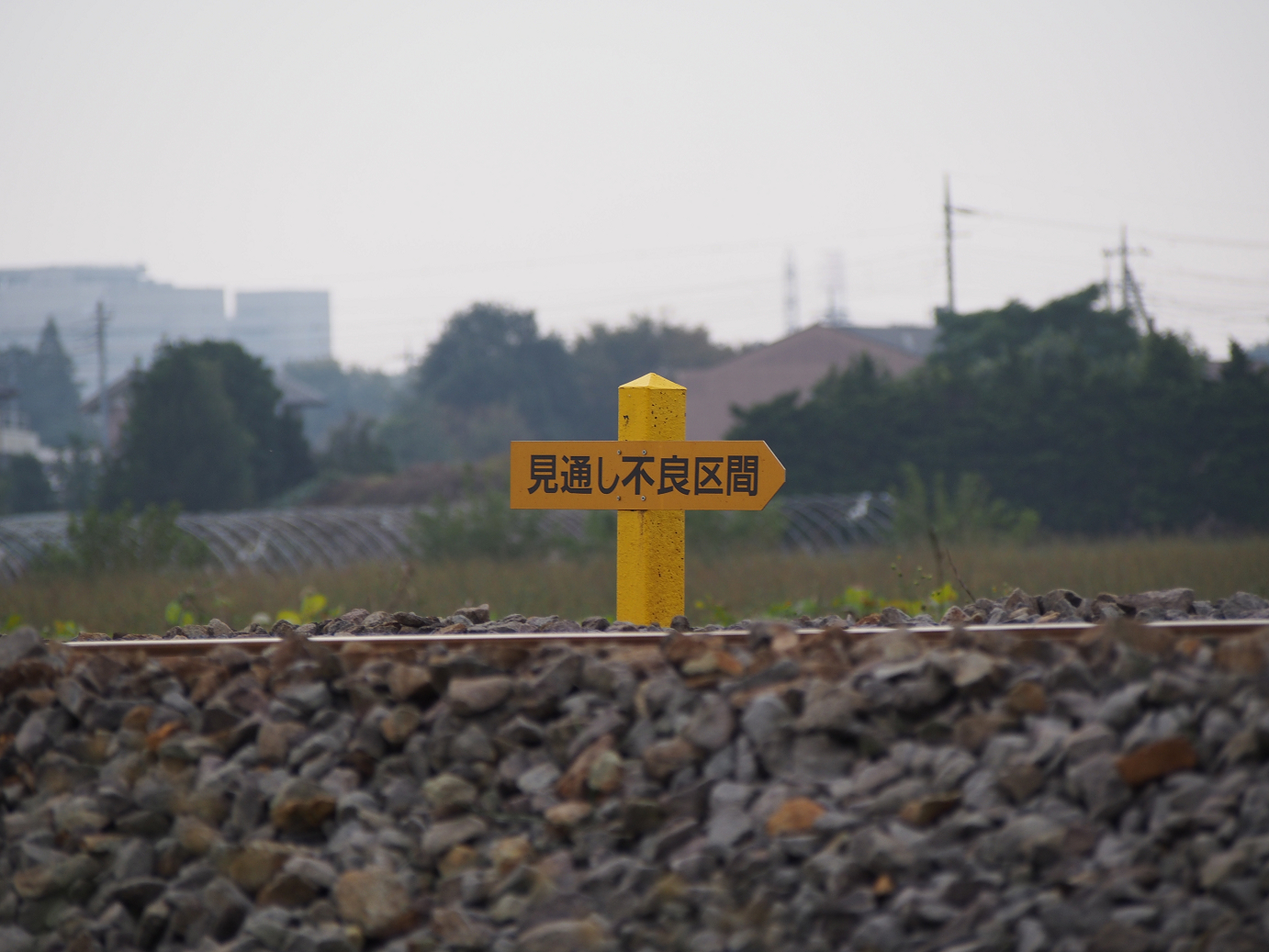 PB030527.jpg