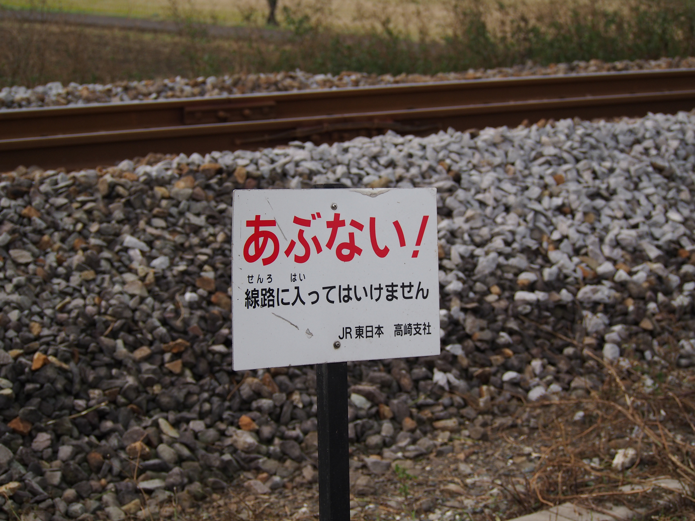 PB030548.jpg