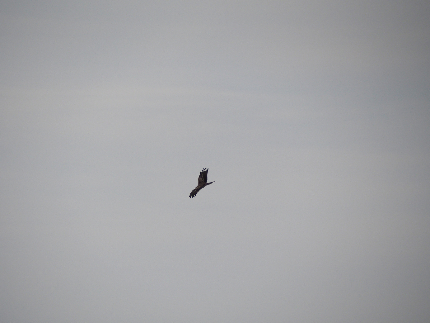 PB030549.jpg