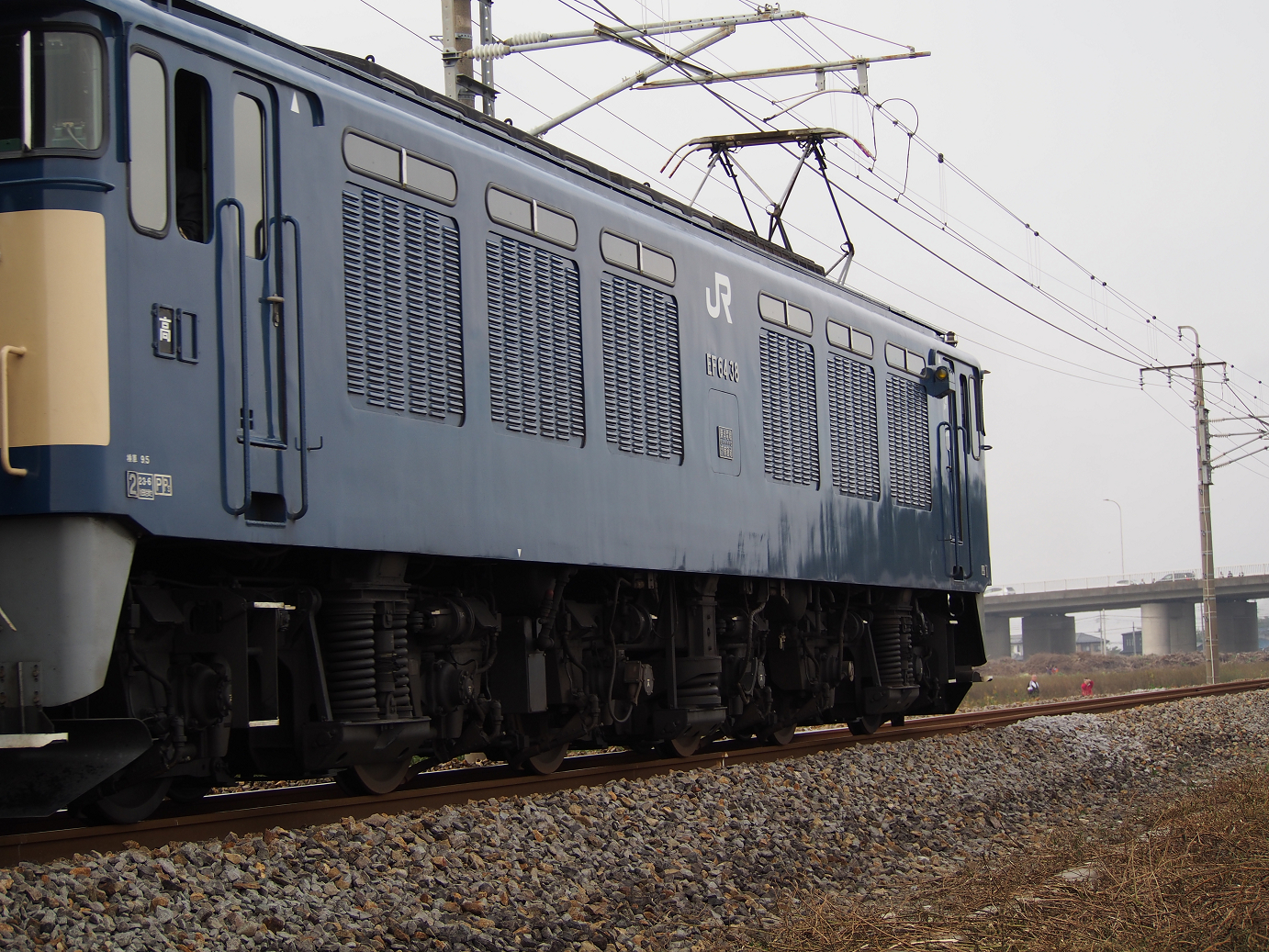 PB030606.jpg