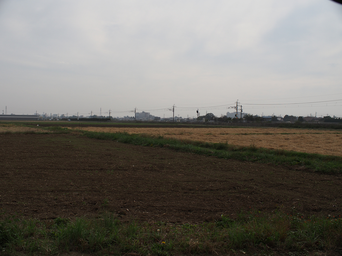PB030607.jpg