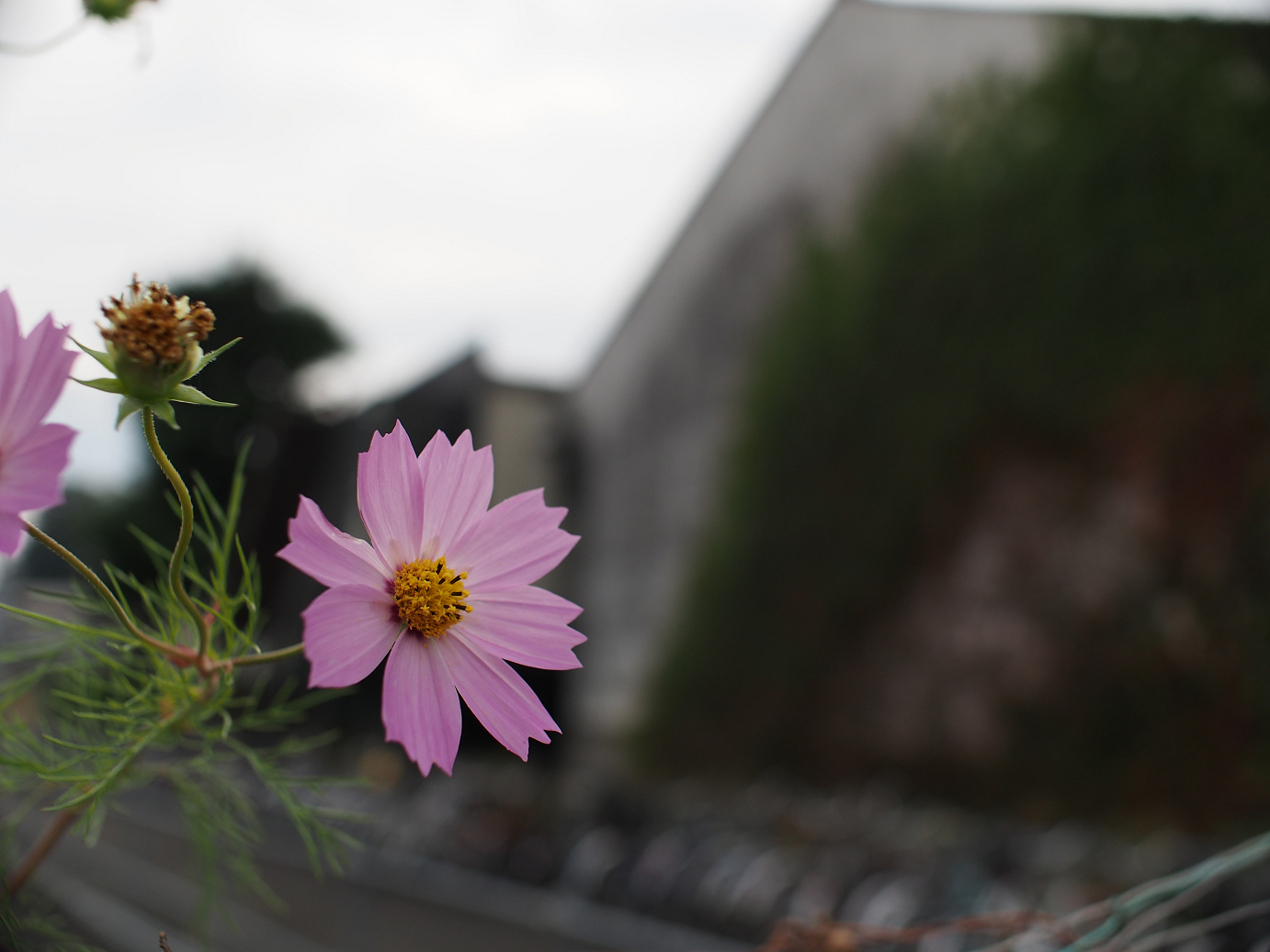 PB030778.jpg