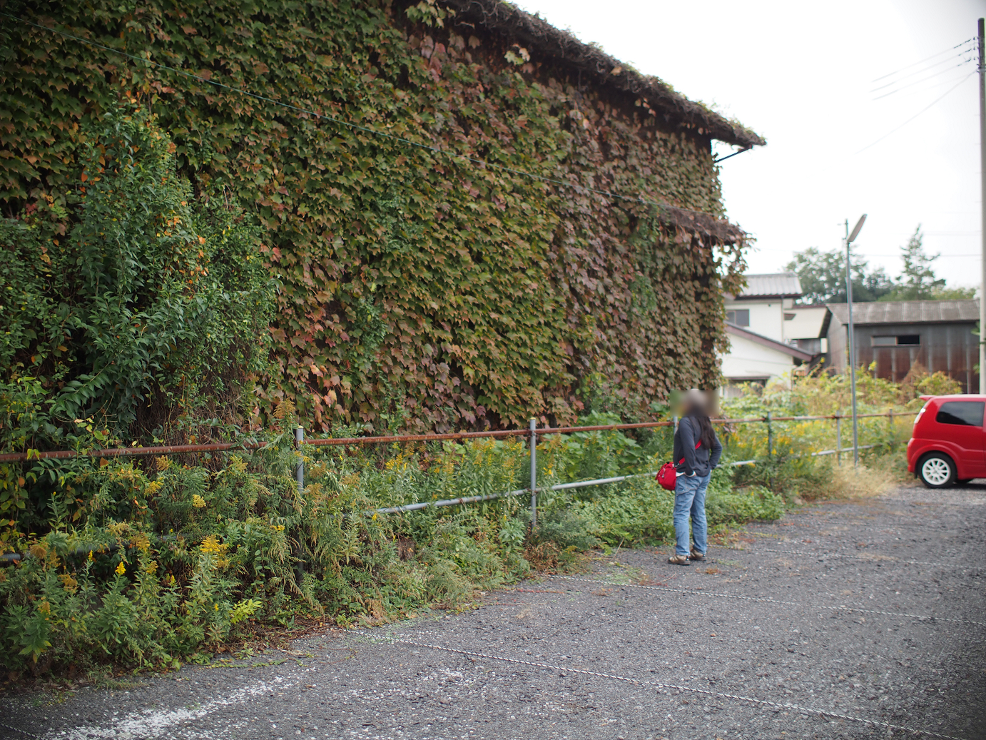 PB030796.jpg