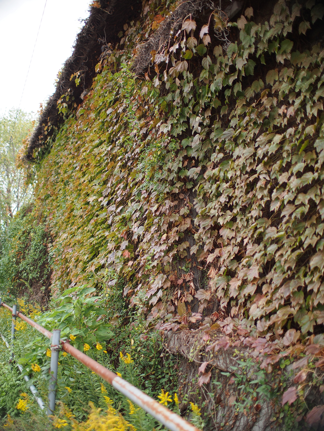 PB030800.jpg