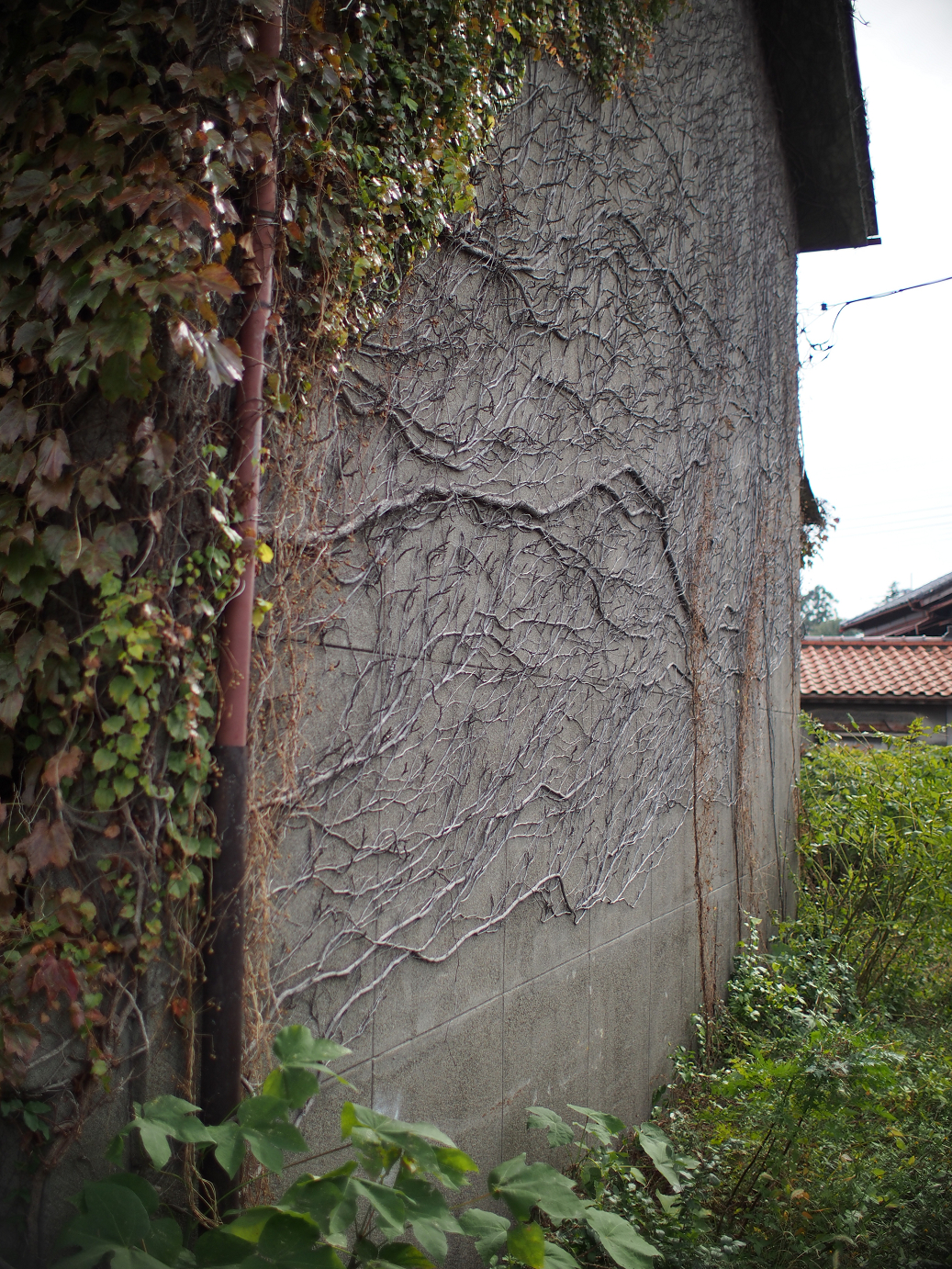 PB030801.jpg