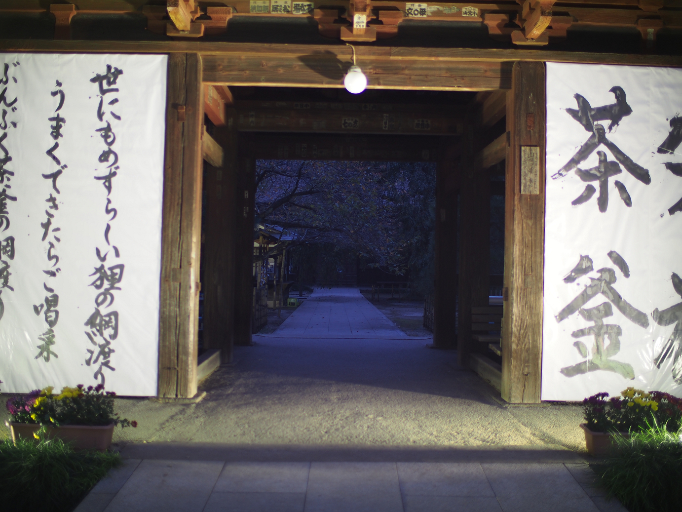 PB030817.jpg