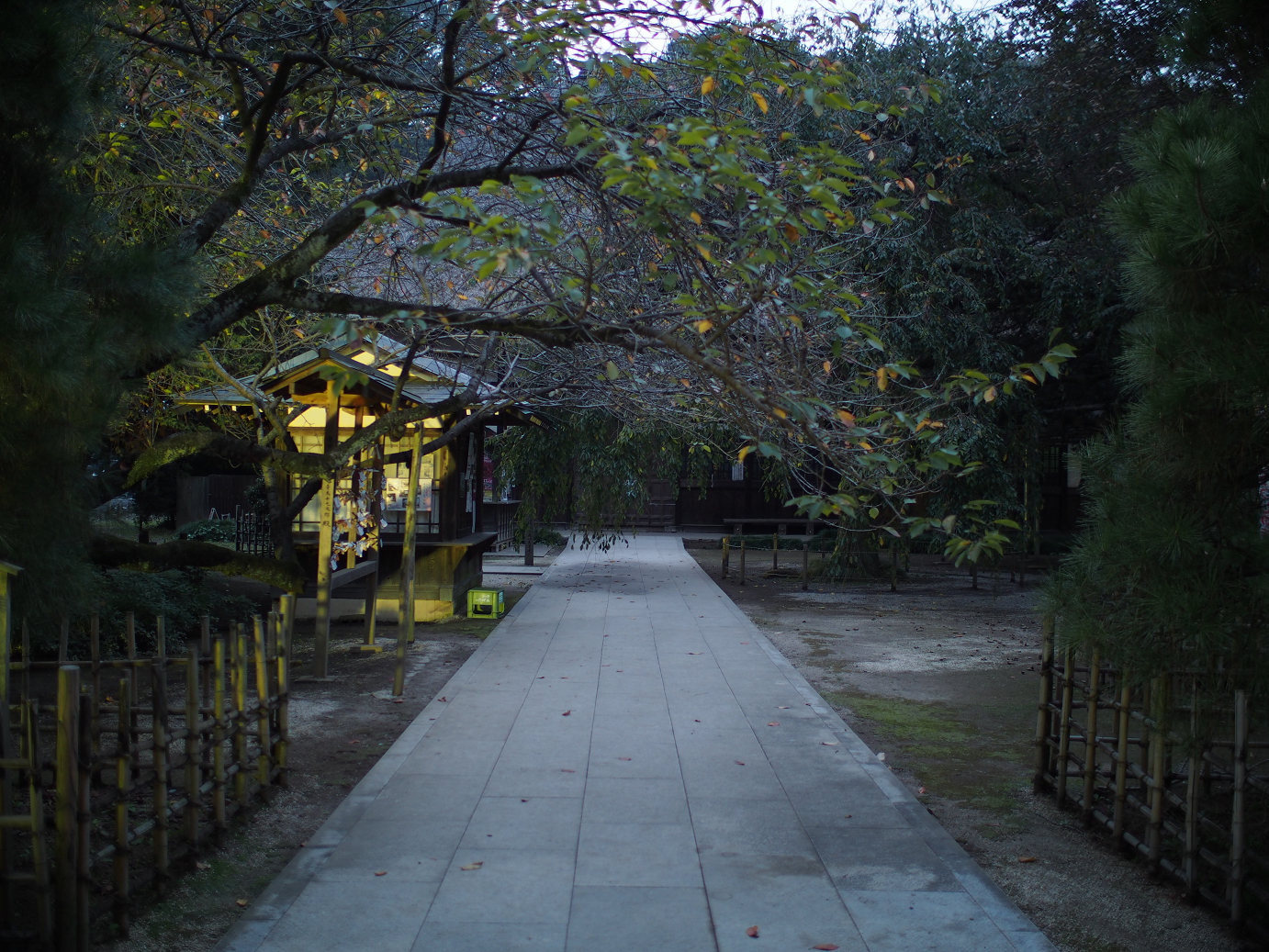 PB030818.jpg