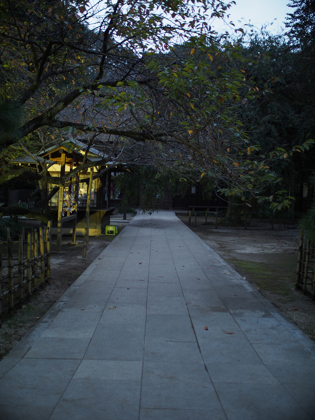 PB030820.jpg
