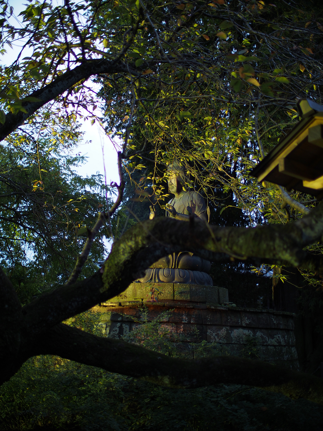 PB030822.jpg