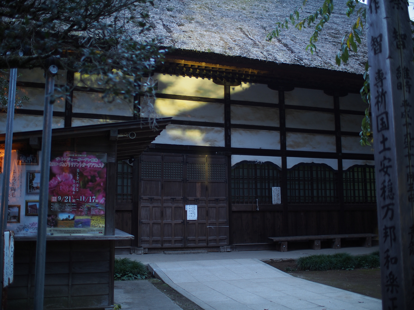 PB030823.jpg