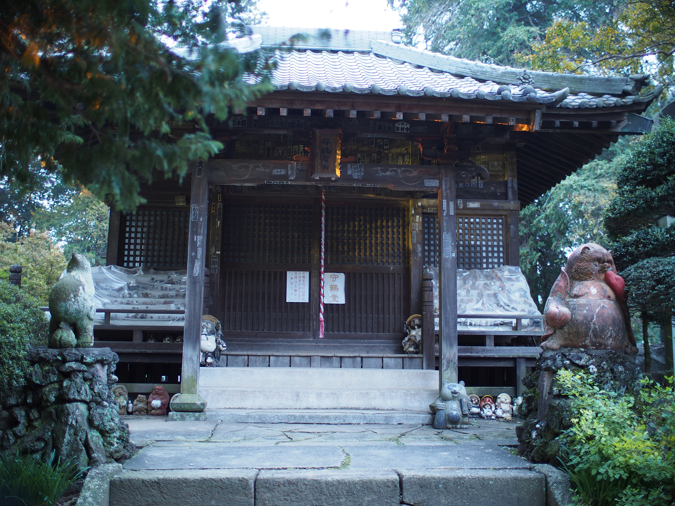 PB030826.jpg