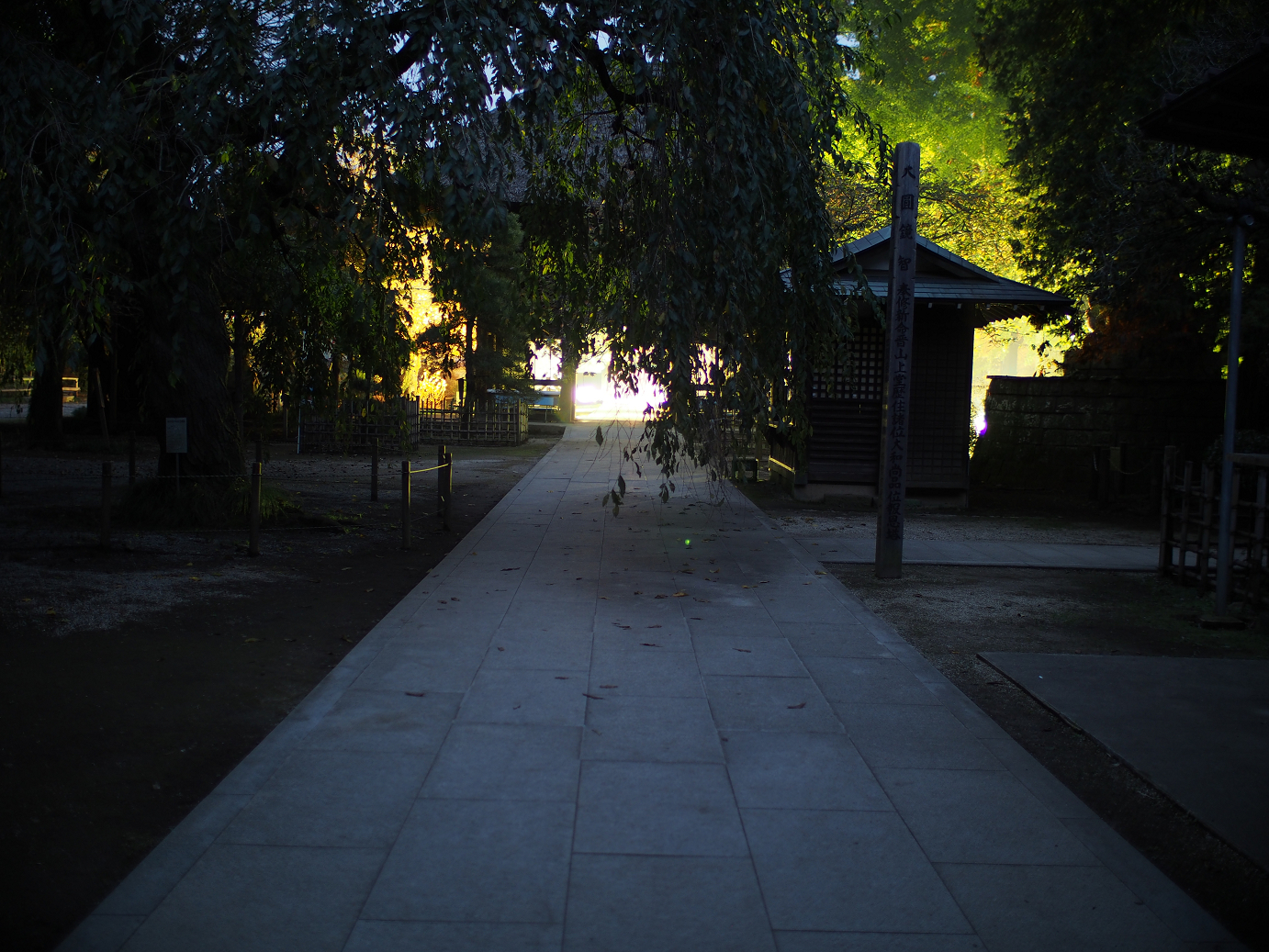 PB030829.jpg