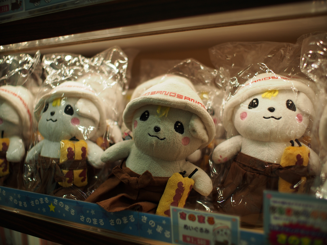 PB030891.jpg