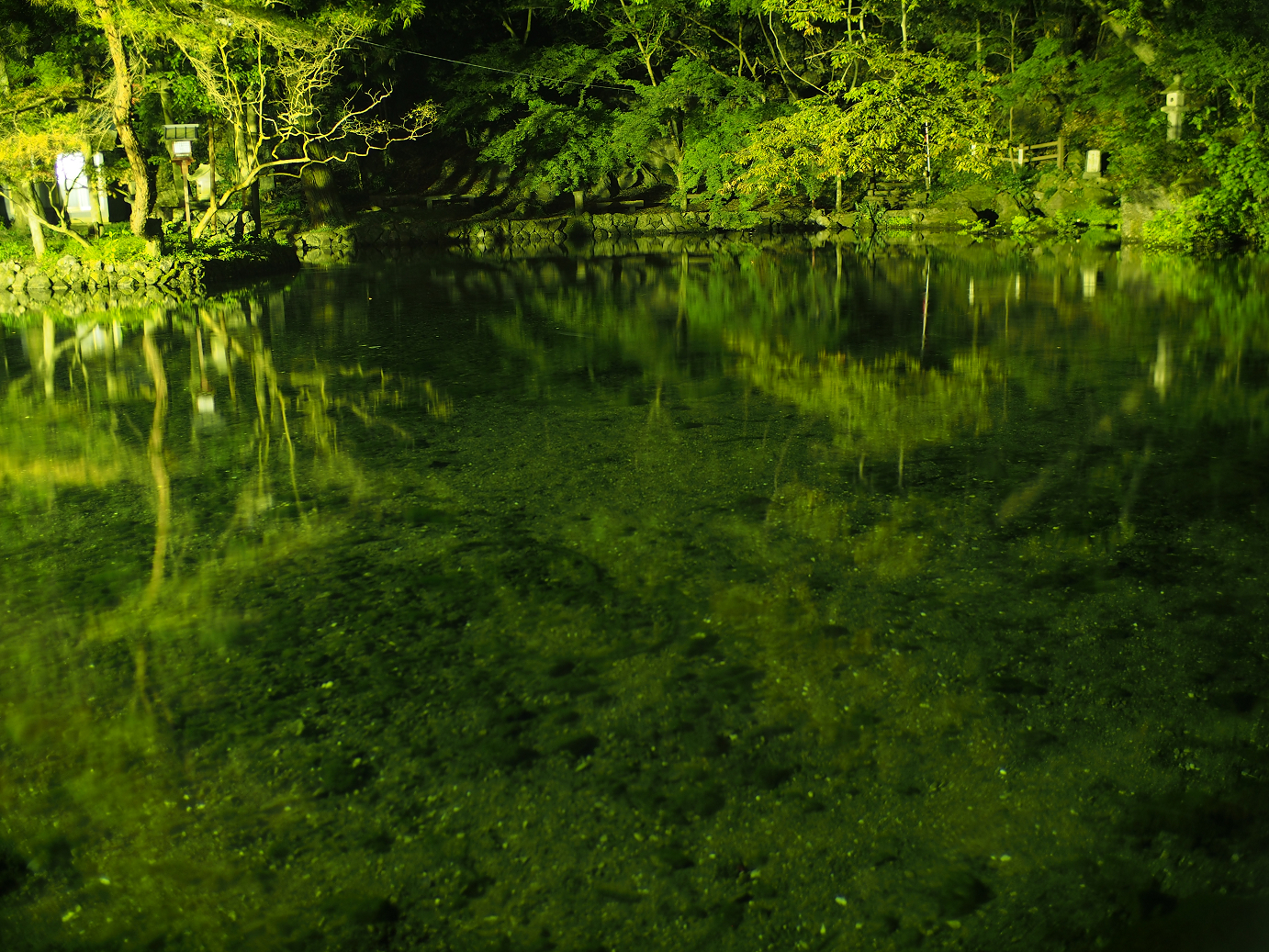 PB030899.jpg