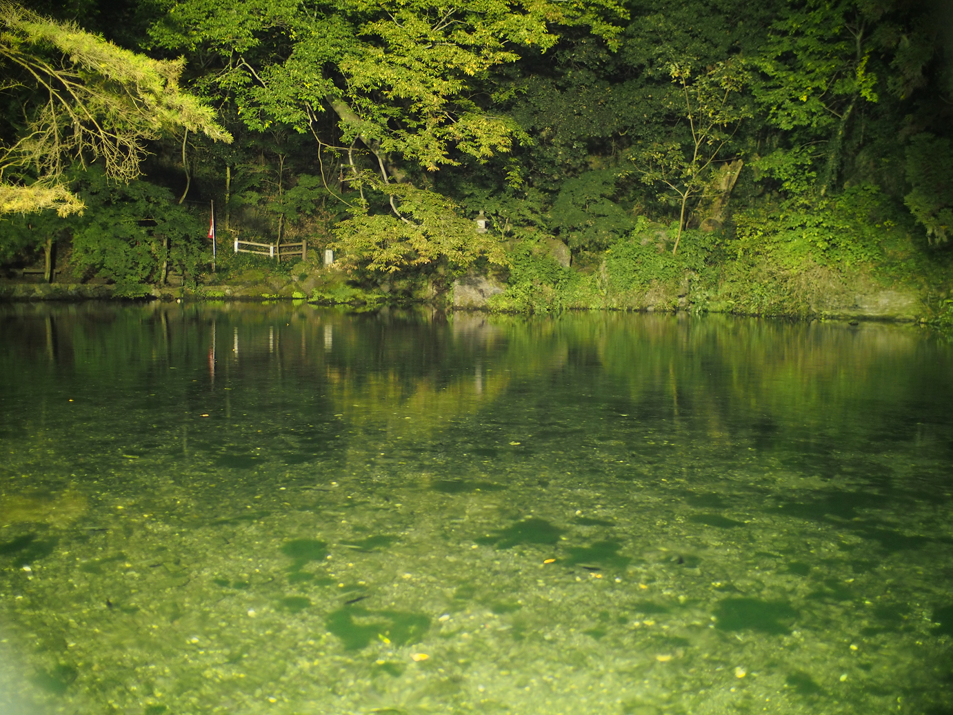 PB030904.jpg