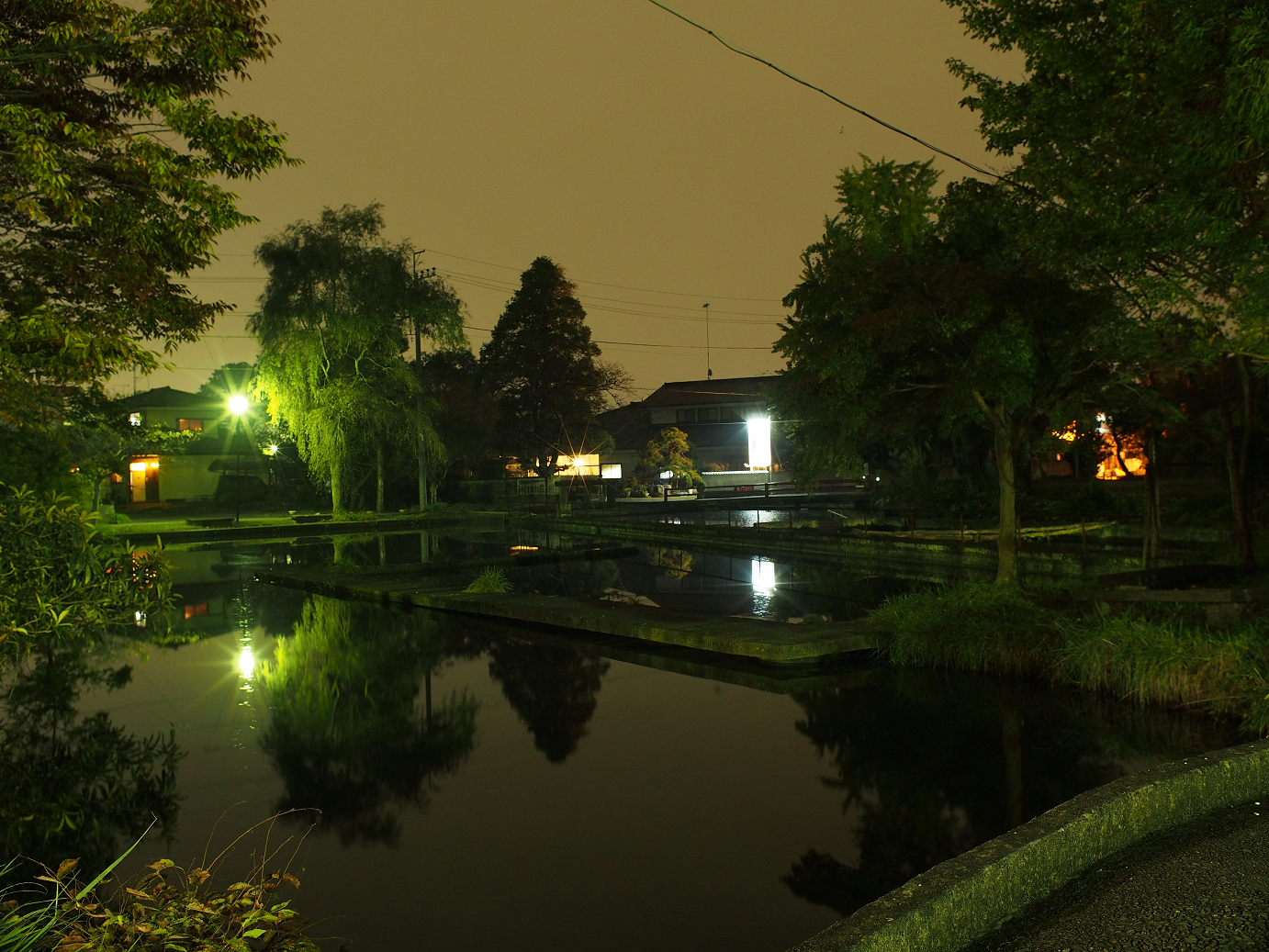 PB030909.jpg