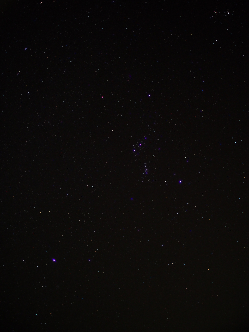 PB11080007.jpg