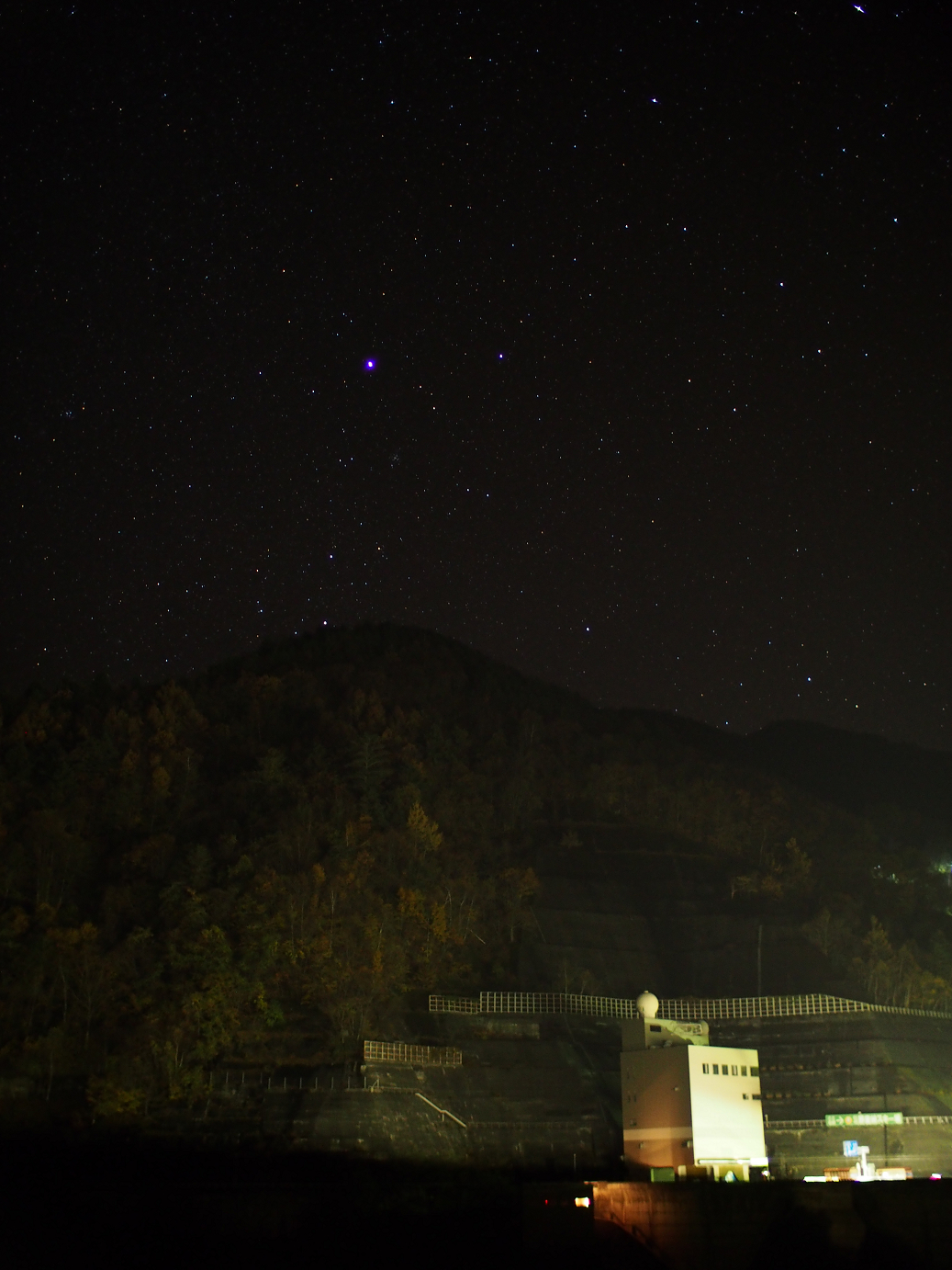 PB11080008.jpg