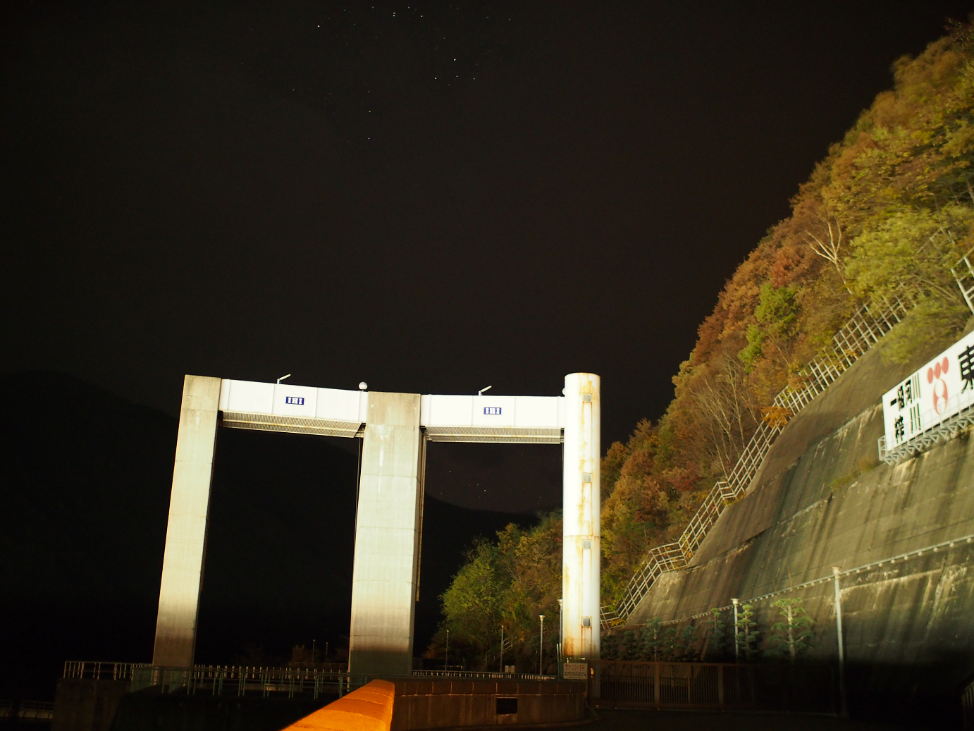 PB11080012.jpg