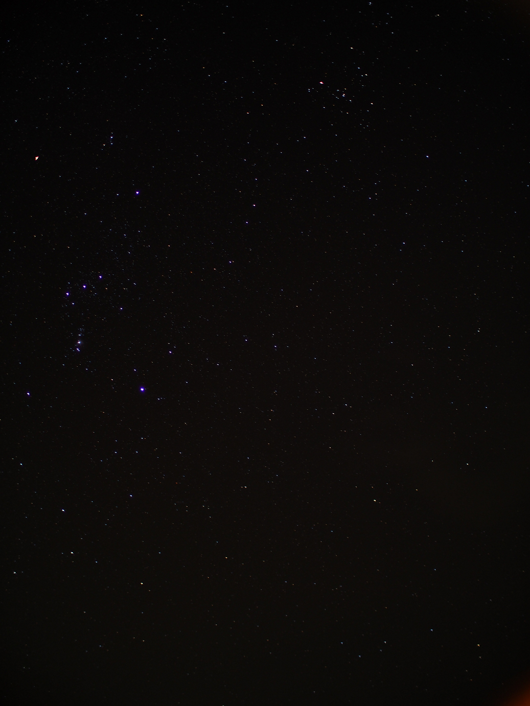 PB11080015.jpg