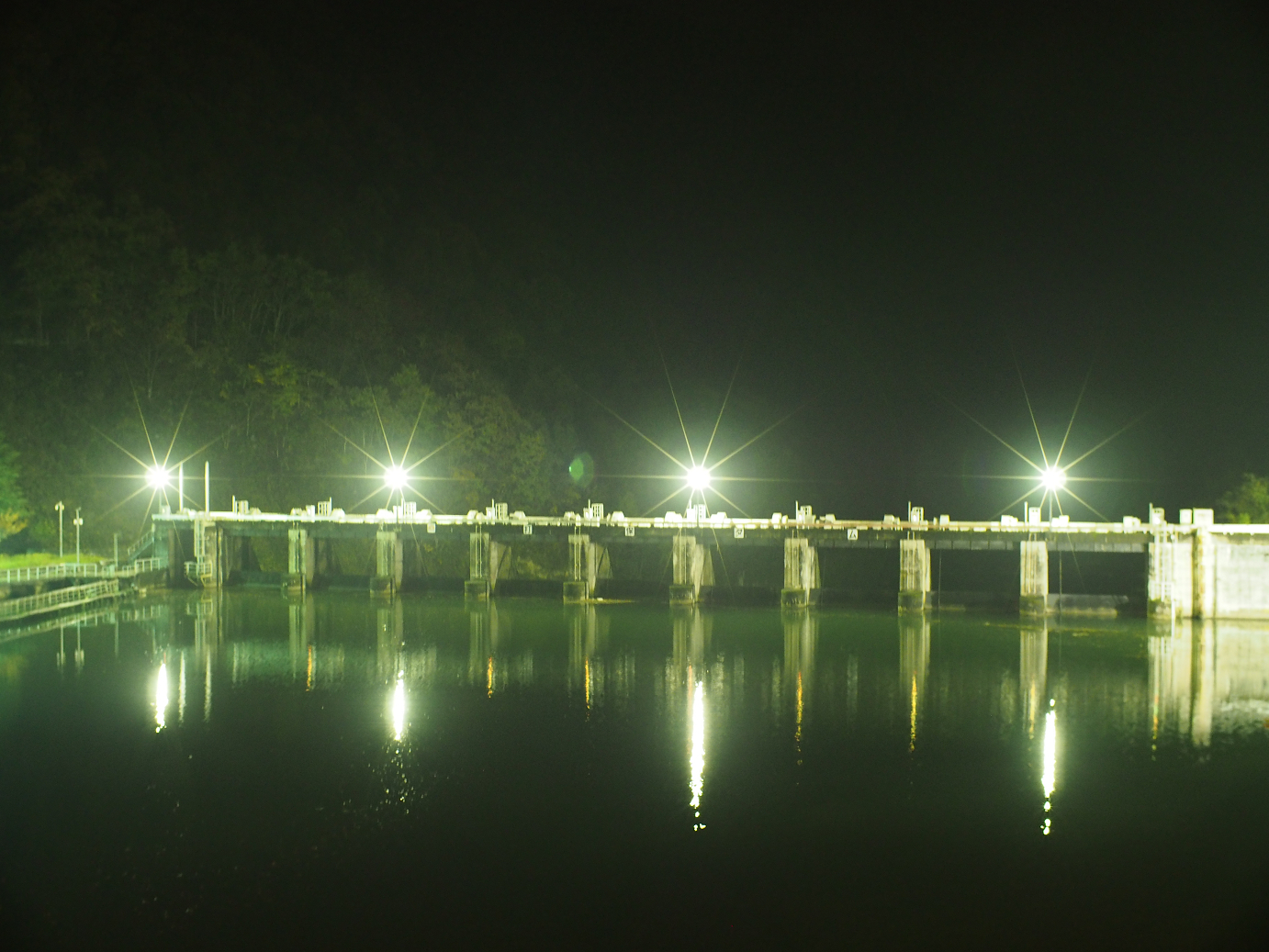 PB11080023.jpg