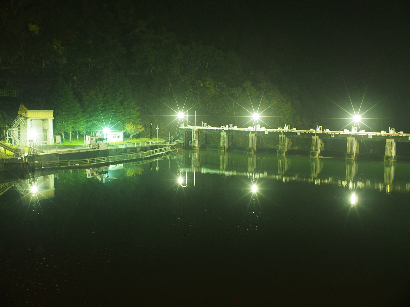 PB11080029.jpg