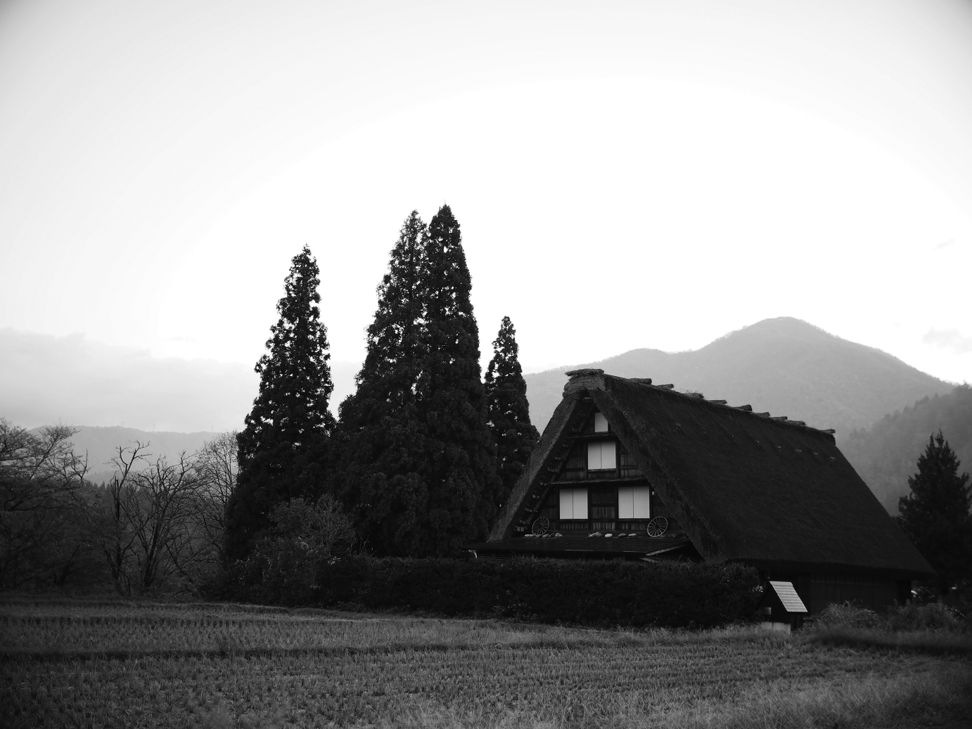 PB11080037.jpg