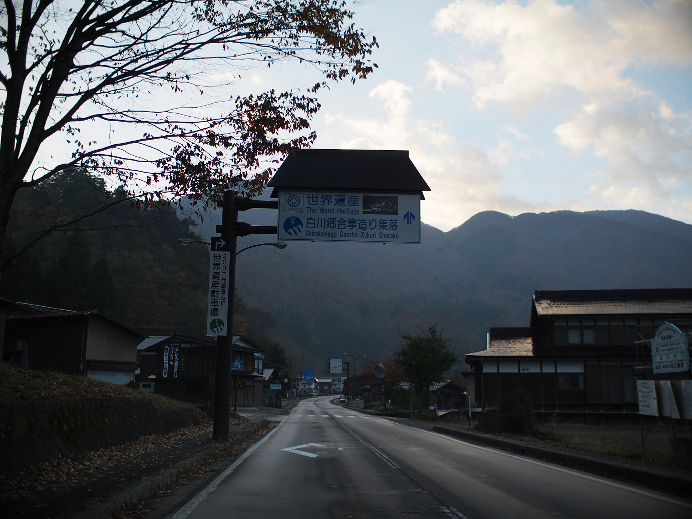 PB11080043.jpg