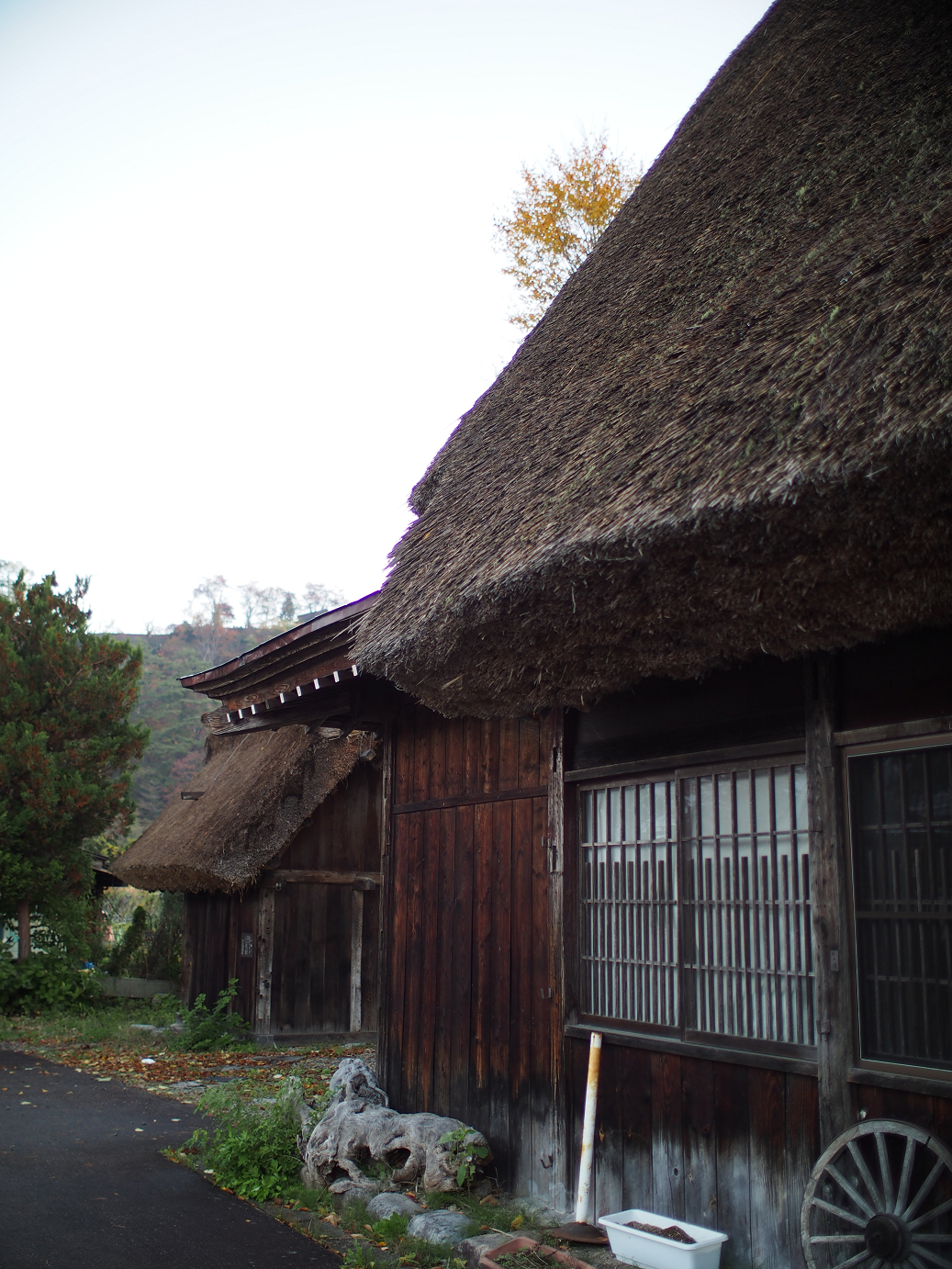 PB11080048.jpg